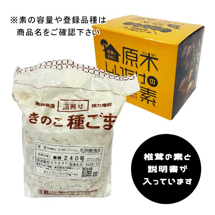 椎茸用　原木 楽天市場】原木しいたけの素 菌興240号200駒 【春・秋発生】 お家で