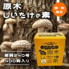 ���ڤ����������� �ݶ�240��400�� �ڽա���ȯ���� ���ȤǤ��Τ� ��ä����Ƥ� �������� ���� �������� �緿