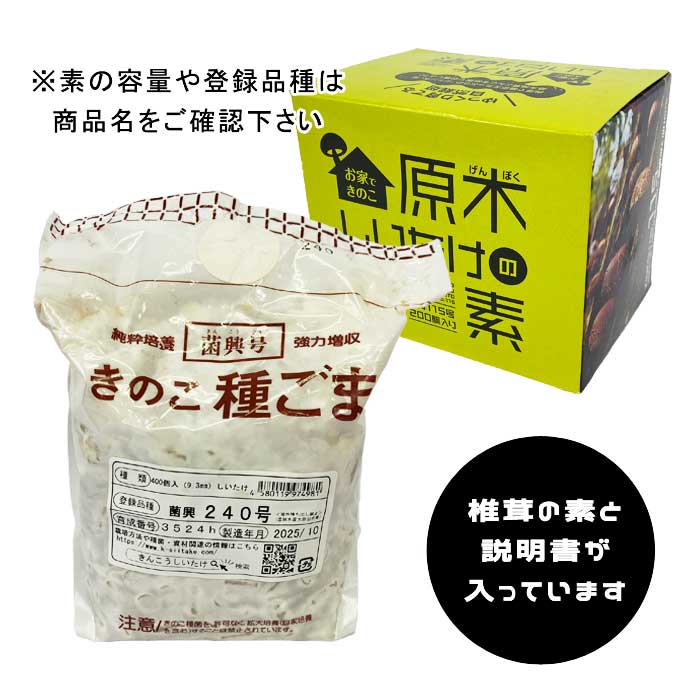 原木椎茸　菌打ち済み　数量限定　70センチ　3本 原木しいたけの素 菌興115号200駒 【冬・春発生】 お家できのこ