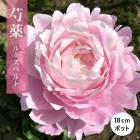 ���� �� �롼���٥�� 18����ݥå� ���� ���㤯�䤯 ���㥯�䥯 �����ǥ˥� �ץ�󥿡� �ɺ��� �ɺ� ���