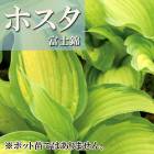 �ۥ��� �ٻζ� �庬 1�� ���� Ⱦ���� �������� ���ܥ��� �߿��� ��ǯ�֤��餯�ɺ��� �֤�����