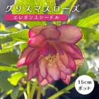 ���ꥹ�ޥ������� �� ���쥬�󥹥����ɥ� ��ꥯ������ 15����ݥå� �� ���� �Ѵ��� �����ǥ˥� �إ�ܥ륹 �ߥ襷