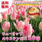 ���塼��å� �庬 �ϥ����ƥ�ܥ� 50�� ��ñ������ ���㤤�� ������ �Х�֥��֥����䡼���� �֤����� ������̵����