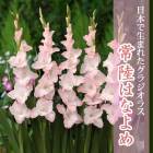 ��ͽ������ ���饸���饹 �庬 �տ��� �����ܤ����ޤ줿���饸���饹�� ��Φ�Ϥʤ�� (��Ͽ�ʼ�) 5�� �֤����� ��3����ܤ��缡ȯ����