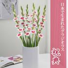 ��ͽ������ ���饸���饹 �庬 �տ��� �����ܤ����ޤ줿���饸���饹�� ��ŵ 5�� gladiolus �֤����� ��3����ܤ��缡ȯ����