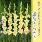 ��ͽ������ ���饸���饹 �庬 �տ��� �����ܤ����ޤ줿���饸���饹�� ��Φ����᤭ ����Ͽ�ʼ��5�� �֤����� ��3����ܤ��缡ȯ����