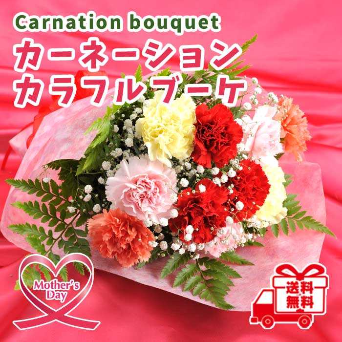 予約・超早割】 母の日 2026 プレゼント 【 カーネーション カラフル