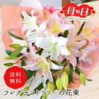 ��ͽ��� ����� 2026 �ץ쥼��� �� �ե쥰���� ��꡼ ��« �� �֡��� ���ե� ɴ�� ��� ��åԥ��դ� ����̵�� 40�� 50�� 60�� �֤�����