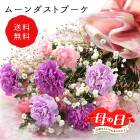 ��ͽ��� ����� 2026 �ץ쥼��� �� �ࡼ������� �֡��� �� ��« ���ե� �����͡������ ��åԥ��դ� �ڤ�� ����̵�� 50�� 60�� 70�� �֤�����