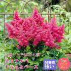 �ɺ��� �� ��������� �ɥ����١��� 9������󥰥ݥå� ���� Ⱦ���� �������� �����ǥ� ����ä��󤽤� ¿ǯ��