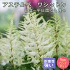 �ɺ��� �� ��������� �亮��ȥ� 9������󥰥ݥå� ���� Ⱦ���� �������� �����ǥ� ����ä��󤽤� ¿ǯ��