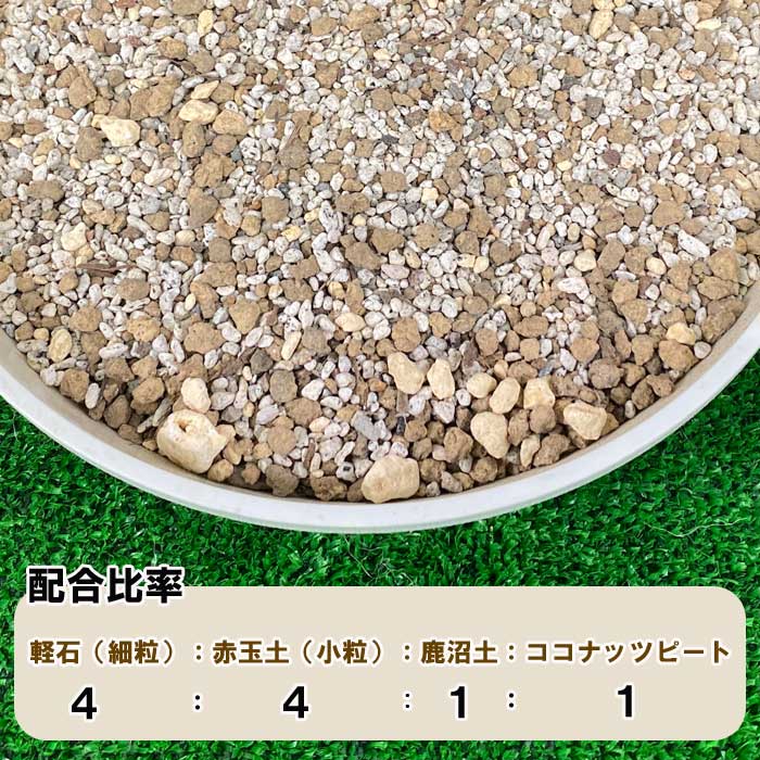 多肉植物の土 約0.5リットル 多肉 土 培養土 園芸資材 | 園芸資材,土