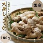 �� ��ժ �� ��� ���礦�� ��180�� 500g�� ��庬 ���ո��� �� �礷�礦�� ���祦�� ��̣ ���󥸥㡼 ginger �֤�����