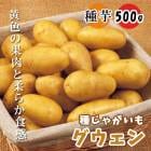 �� ���㤬���� �������� 500g �򥵥�����S��2L �� ���㥬���� �դ��㤬 ����� ��� �����ڱ� ��Ͽ�ʼ� �տ���