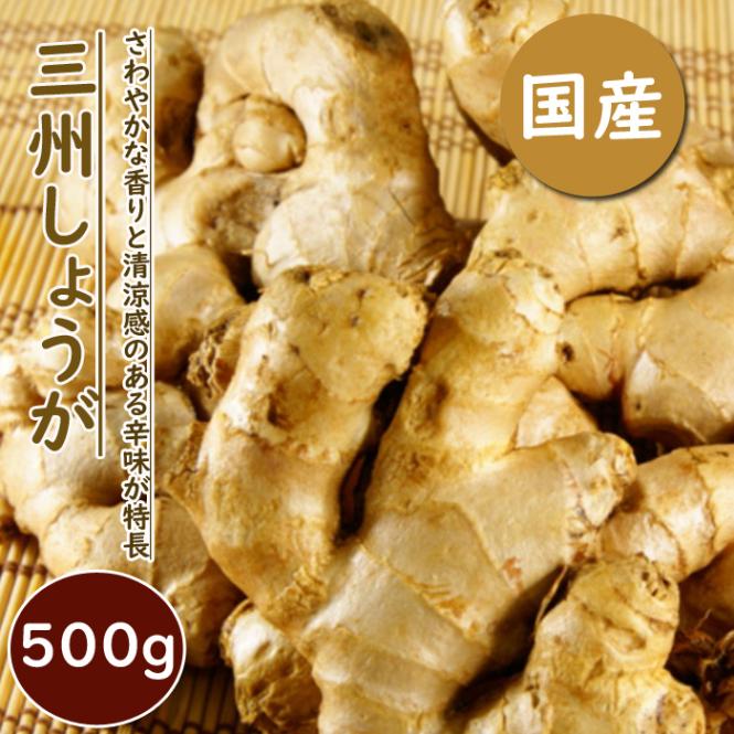 三州種生姜 A品 5kg 千葉県産 農家直送 農薬未使用　種しょうが 種 生姜 【 三州 しょうが 約180g 500g】 種球根 千葉県産 国産 希少
