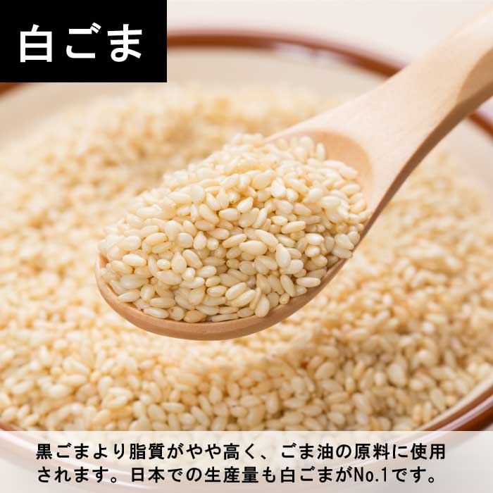 予約・早割】ごま 【 金ごま 白ごま 黒ごま 】 9cmポット 苗 ゴマ 無