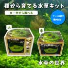 �狼���Ƥ� ���� ���å� �� ���饹�ƴ� + �ϴ��� + ������(�֥�å�) + ����μ� �� ���𤸤夦���� ��������� 7��10���ǲ꤬�Ф� ��ñ ���ݥ��å� ����̵��