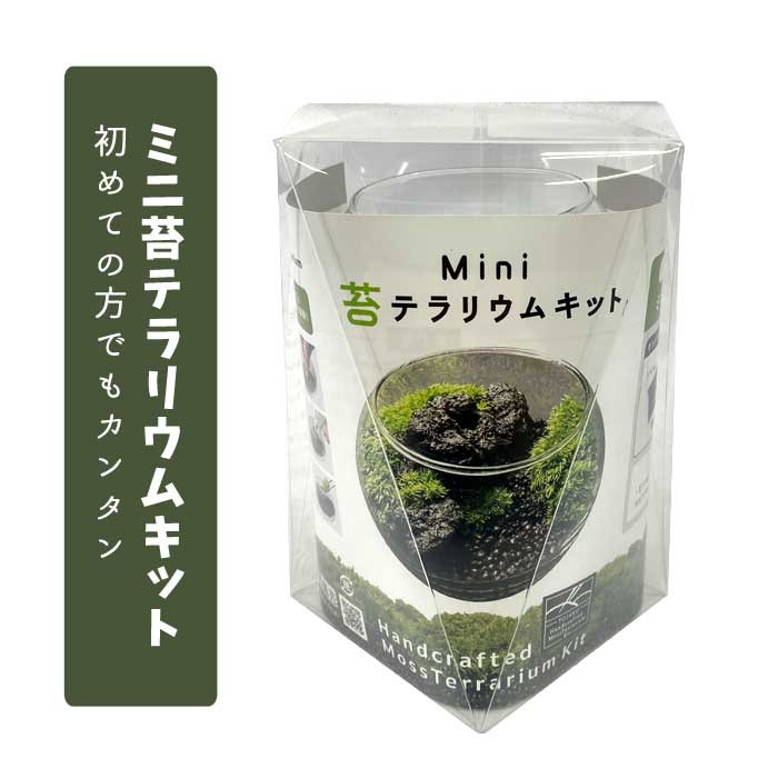 ミニ 苔 テラリウム キット 【 ガラス容器 + 乾燥ヤマゴケ + ソイル +