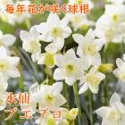 ��10�����ܤ��ȯ�������� ���� �ץ��֥� �庬 3�� �����äѤʤ� ������ �󤻿��� �ץ�󥿡� ���� ��ǯ�֤��餯 �֤�����