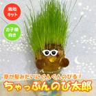 ����äפ�Τ���Ϻ �ڥ����ꥢ��饤���饹�μ���������� �� �ץ饹���å��ƴ�� ���ݥ��å� �ƻҤǳڤ���� ������  ���� ����ƥꥢ ��ͳ����
