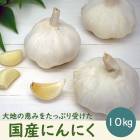�ˤ�ˤ� ��庬 �� ��10��� �� �� ������̵���� �ӥ��������̥������ڤӥ����Ҵޤ�  �˥�˥� garlic �����ߥ� ��� ���� �֤����� ����̵��