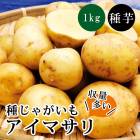 �� ���㤬���� �����ޥ��� PVP ��1kg���羮�ߥå����� �����㤬 ������ ����� ��� �����ڱ� �֤�����
