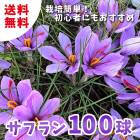 ���ե�� �庬 100�� ������ �ڤʤ�����ʤ��ǤⳫ�֡� �鿴�ԤǤ��Ƥ䤹�� ��ñ ���餭 ���ѥ��� ��� saffron �֤����� ����̵��