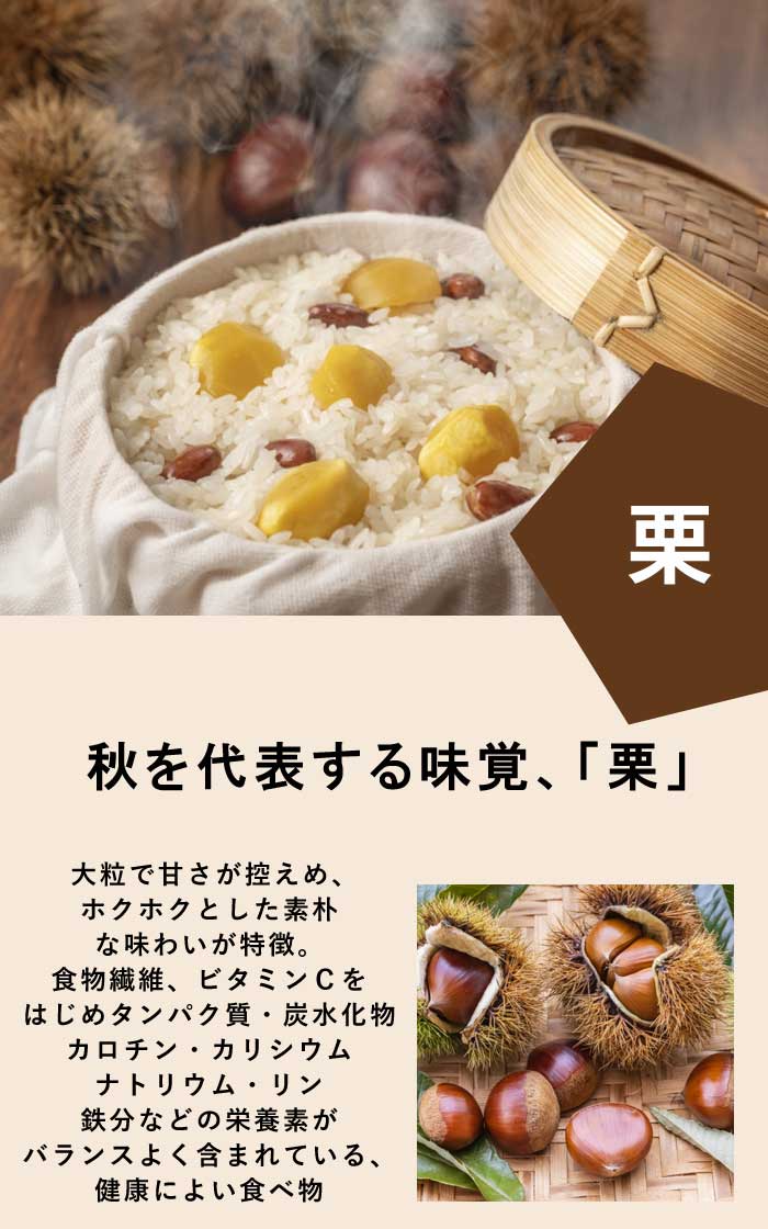 栗 苗 秋峰(しゅうほう) 果樹 苗木 接木 苗 15cmポット 受粉樹必要 送料無料 家庭栽培 くり クリ 大実 晩生 | 果樹,栗 | 花 ...