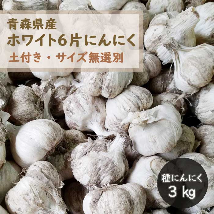 ��8����ܤ��ȯ�������ۡ� ���դ� �� �庬 �ˤ�ˤ� �Ŀ� ʡ�� �ۥ磻��6�� ��3��� ������̵�� �ڤȺ��դ� ������̵���� �ӡ��̥������ڤӥ����Ҵޤ�
