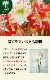 ���ޥ�ꥹ �庬 �� ����̵�� �ۡں�ǯ���ֺѤߡ��ʼ浪�ޤ���3�� �������� ���å� �ڤʤ���ʤ��Ǥ��� ����ƥꥢ ȭ���� �Ͽ��� amaryllis �֤�����