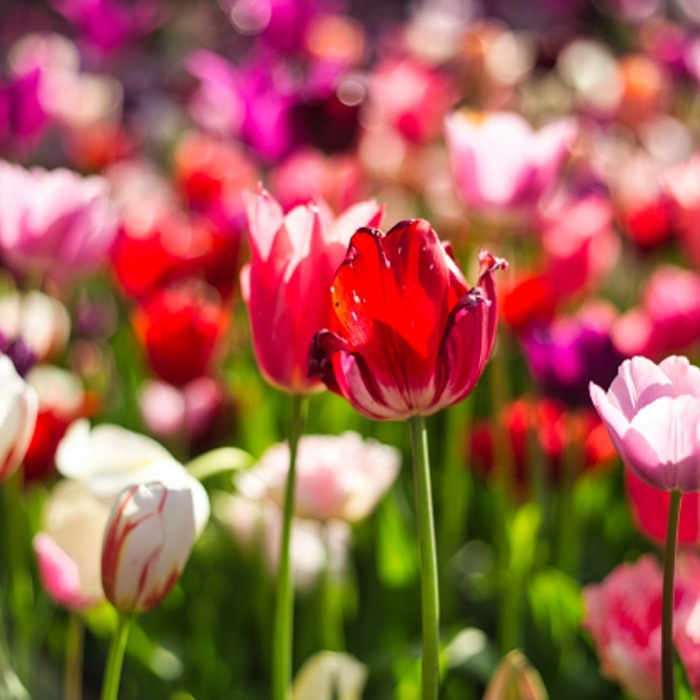 庬  14     ֥ ۹  庬 ñ ǥ˥  ݿ ӿ ؤ   庬