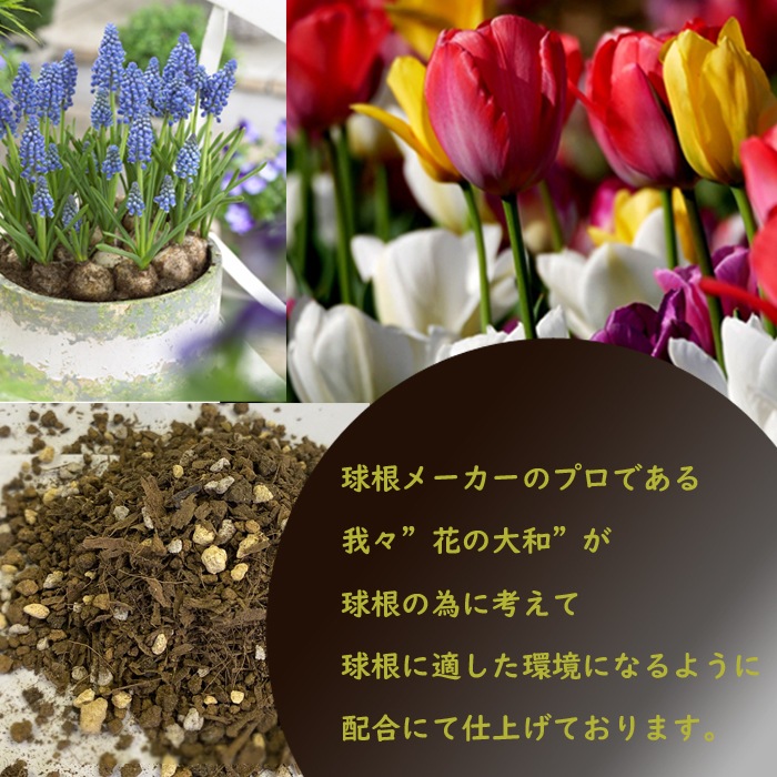 庬  14     ֥ ۹  庬 ñ ǥ˥  ݿ ӿ ؤ   庬