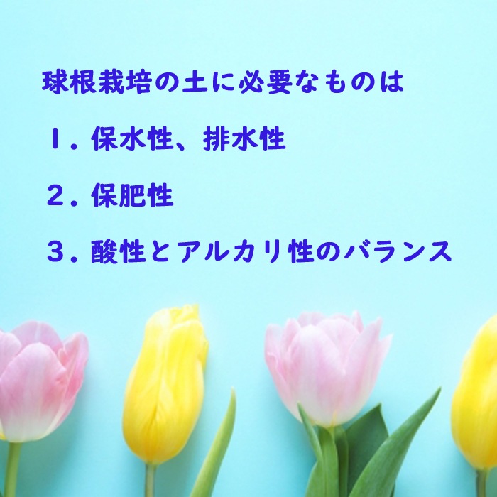 庬  14     ֥ ۹  庬 ñ ǥ˥  ݿ ӿ ؤ   庬