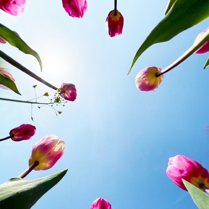 庬  14     ֥ ۹  庬 ñ ǥ˥  ݿ ӿ ؤ   庬