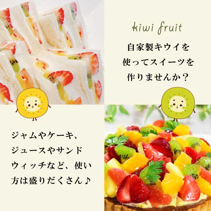 �Ȥ������� 2�糧�å�(���ޤ���ͺ) 15cm�ݥå� �� �쥤��ܡ���å� �̼�  �������� �ե롼�� ��ʪ ���� ���� ����̵��