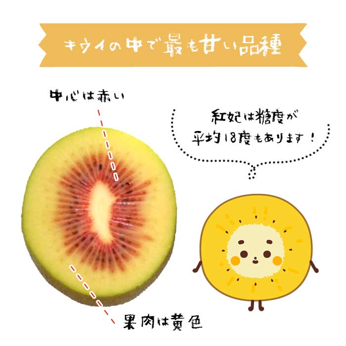 �Ȥ������� 2�糧�å�(���ޤ���ͺ) 15cm�ݥå� �� �쥤��ܡ���å� �̼�  �������� �ե롼�� ��ʪ ���� ���� ����̵��