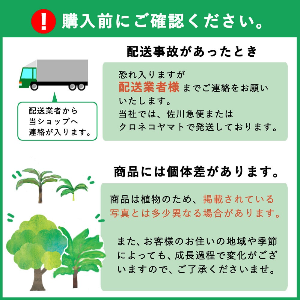 ��ͽ�����ۥ���ܥ����� �� 13.5cm �ݥå� ���� ����ƥꥢ ���տ�ʪ Ǯ�Ӳ̼� �ȥ��ԥ��� ����̵����5����ܤ��缡ȯ����