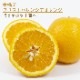 ����� ���� �ե����ȥХ�󥷥������ 15����ݥå� Citrus sinensis Valencia �ߥ��� �ߤ��� ���� ���ȷ���� orange