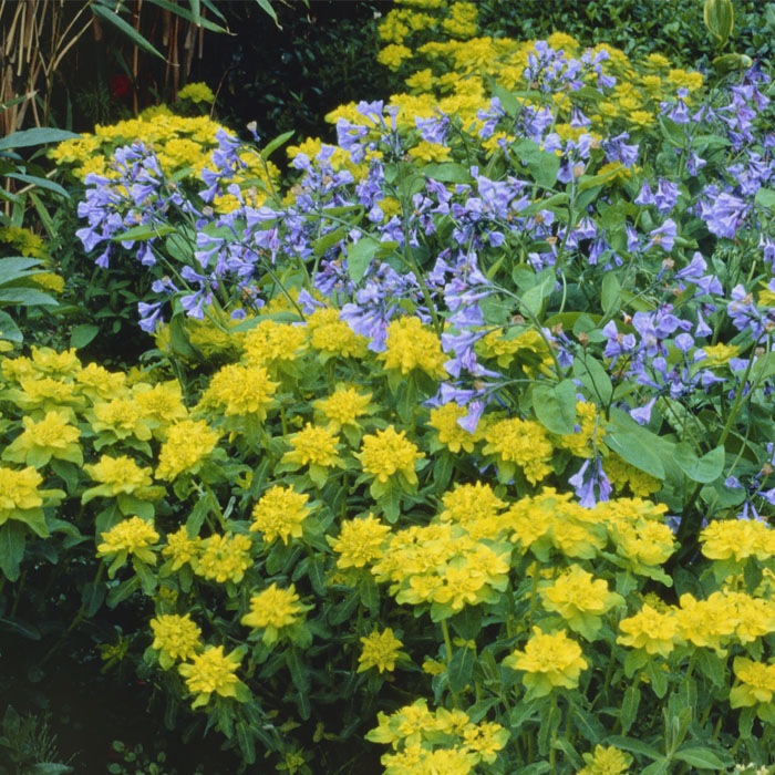 ͽ۽ɺ  桼եӥ ݥꥯ 󥰥ݥå 㤤 ä󤽤 ¿ǯ ڥ˥ڣ沼ܤ缡ȯ