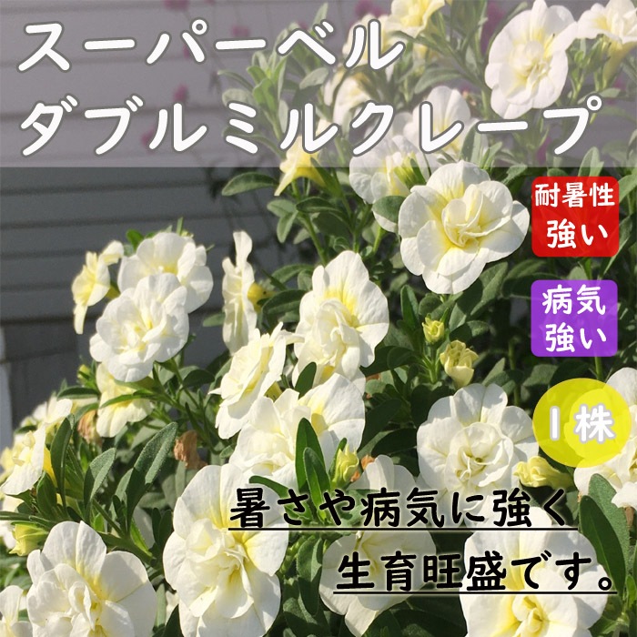 大嶺工房 ペルシャ 輪花小鉢 2点 大嶺實清 大嶺工房 鉢 ペルシャブルー - メルカリ