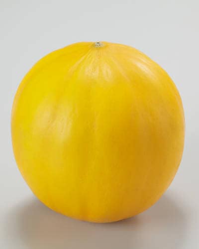 ��ͽ���������� ��� �� ���餷�㡼�٤äȥ���� 9����ݥå� �䤵�� ���㡼�٥å� ����� melon �����ڱ� �����ǥ˥󥰡ڣ����Ⱦ���缡ȯ����