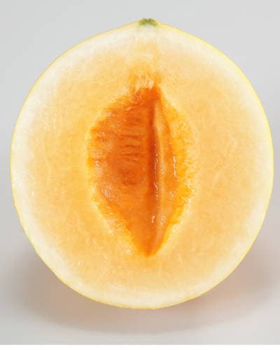 ��ͽ���������� ��� �� ���餷�㡼�٤äȥ���� 9����ݥå� �䤵�� ���㡼�٥å� ����� melon �����ڱ� �����ǥ˥󥰡ڣ����Ⱦ���缡ȯ����