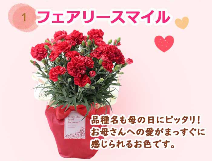 ��ͽ��� ����� �ץ쥼��� 2026ǯ ���٤� �����͡������ 5��ȭ ����̵�� �����ƥ��դ� ̵����åԥ� ���ե� �֤ȥ������� ���� 50�� 60�� �֤�����