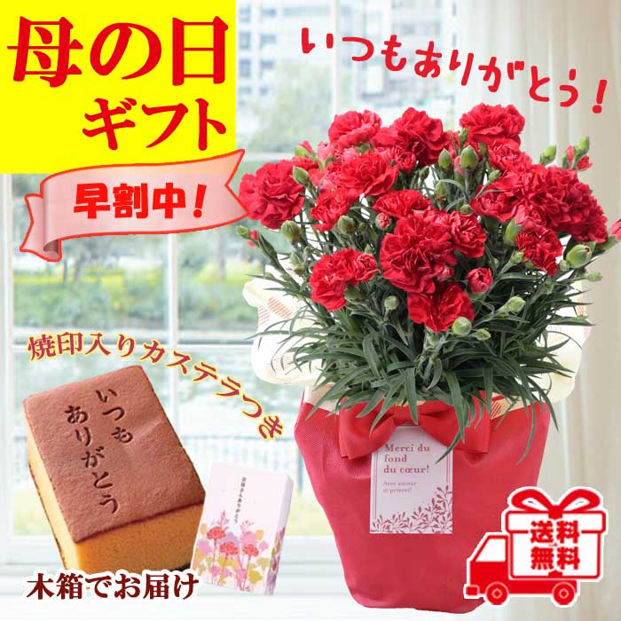 ��ͽ��� ����� �ץ쥼��� 2026ǯ ���٤� �����͡������ 5��ȭ ����̵�� �����ƥ��դ� ̵����åԥ� ���ե� �֤ȥ������� ���� 50�� 60�� �֤�����
