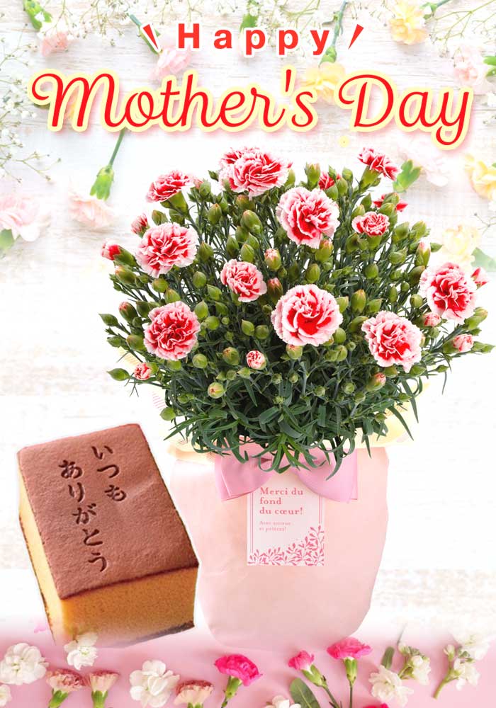 ��ͽ��� ����� �ץ쥼��� 2026ǯ ���٤� �����͡������ 5��ȭ ����̵�� �����ƥ��դ� ̵����åԥ� ���ե� �֤ȥ������� ���� 50�� 60�� �֤�����