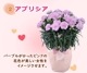 ��ͽ��� ����� �ץ쥼��� 2026ǯ ���٤� �����͡������ 5��ȭ ����̵�� �����ƥ��դ� ̵����åԥ� ���ե� �֤ȥ������� ���� 50�� 60�� �֤�����