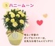 ��ͽ��� ����� �ץ쥼��� 2026ǯ ���٤� �����͡������ 5��ȭ ����̵�� �����ƥ��դ� ̵����åԥ� ���ե� �֤ȥ������� ���� 50�� 60�� �֤�����