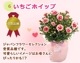 ��ͽ��� ����� �ץ쥼��� 2026ǯ ���٤� �����͡������ 5��ȭ ����̵�� �����ƥ��դ� ̵����åԥ� ���ե� �֤ȥ������� ���� 50�� 60�� �֤�����