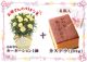 ��ͽ��� ����� �ץ쥼��� 2026ǯ ���٤� �����͡������ 5��ȭ ����̵�� �����ƥ��դ� ̵����åԥ� ���ե� �֤ȥ������� ���� 50�� 60�� �֤�����