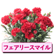 ��ͽ��� ����� �ץ쥼��� 2026ǯ ���٤� �����͡������ 5��ȭ ����̵�� �����ƥ��դ� ̵����åԥ� ���ե� �֤ȥ������� ���� 50�� 60�� �֤�����
